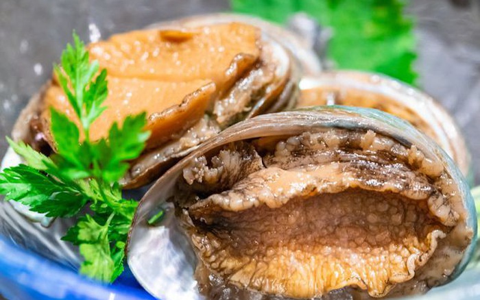 Bào ngư - món hải sản đắt đỏ giàu dinh dưỡng mà bạn nên thử ít nhất một lần