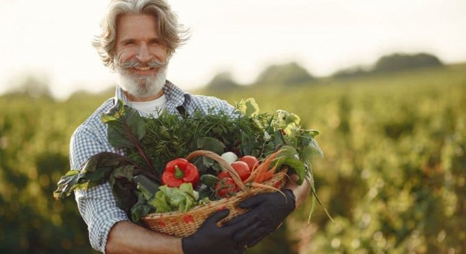 8 lý do khiến thực phẩm hữu cơ sạch có giá tiền đắt đỏ