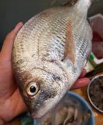 Cửa hàng bán các loại hải sản tươi sống ngon giá rẻ tại tphcm